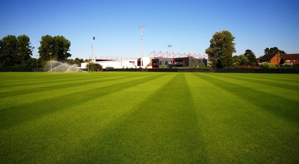 Monifieth Athletic FC cork-infill 3G pitch at Riverview, Scotland's first organic infill football surface.