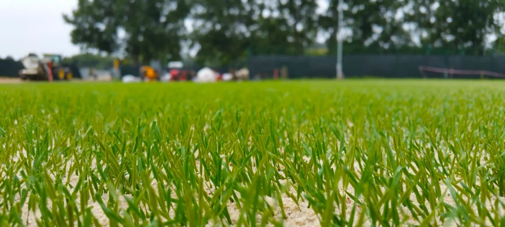 AFC Bournemouth hybrid pitch